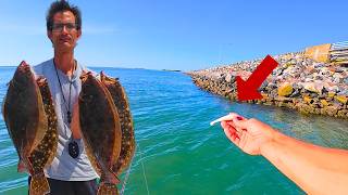 Exclusive How To Catch FLOUNDER! [Chesapeake Bay Techniques, Baits, Locations] Profile