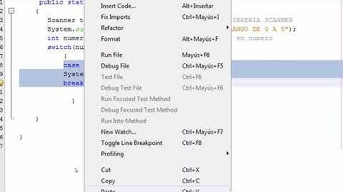 Uso de Switch Case java net beans