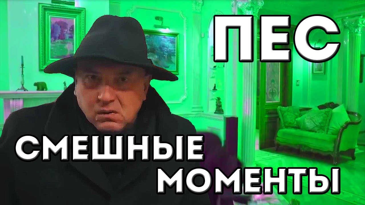 Пес гнездилов мерседес