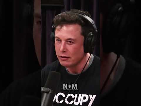Why Did Elon Make a Flamethrower?