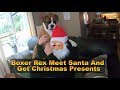 Boxer Rex Meet Santa And Gets Christmas Presents! 😁