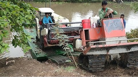 máy cắt lúa WC102 Lên phà nhìn hồi hộp thót tim tập1038#maibangtv
