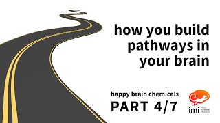 How You Build Pathways In Your Brain? Of 7 - Happy Brain Chemicals