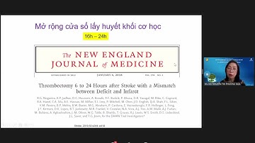 Cập nhật & ứng dụng thực hành lâm sàng trong điều trị bệnh lý mạch máu não 2021