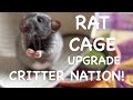 🩷New Rat Cage:CRITTER NATION🩷✨Build and Decorate My Critter Nation Rat Cage With Me✨🌿Rat Cage Haul🌿