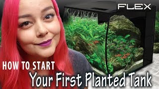 Beginners Guide to Planted Tanks | Fluval Flex Aquarium Setup