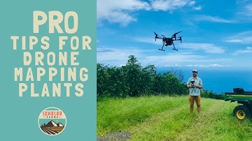 Pro tips on vegetation mapping with drones