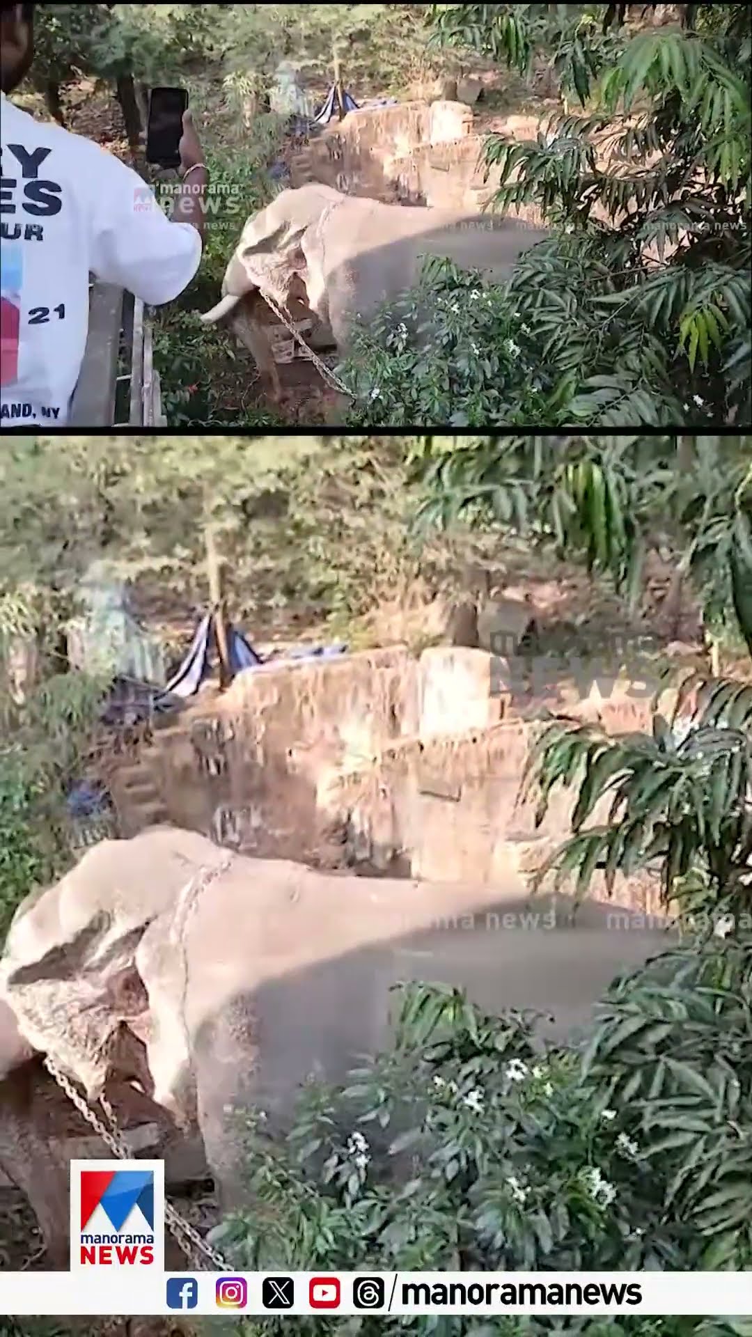 സ്കൂട്ടറും വീടിന്‍റെ മതിലും തകര്‍ത്തു; നിലമ്പൂർ മാരിയമ്മൻകോവിൽ ഉത്സവത്തിനെത്തിച്ച ആന ഇടഞ്ഞു