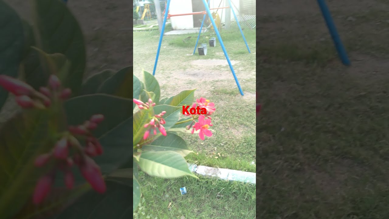 kota (education city)Park.....view