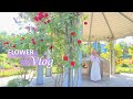 Flower vlog a summer day in a life full of flowers engindo