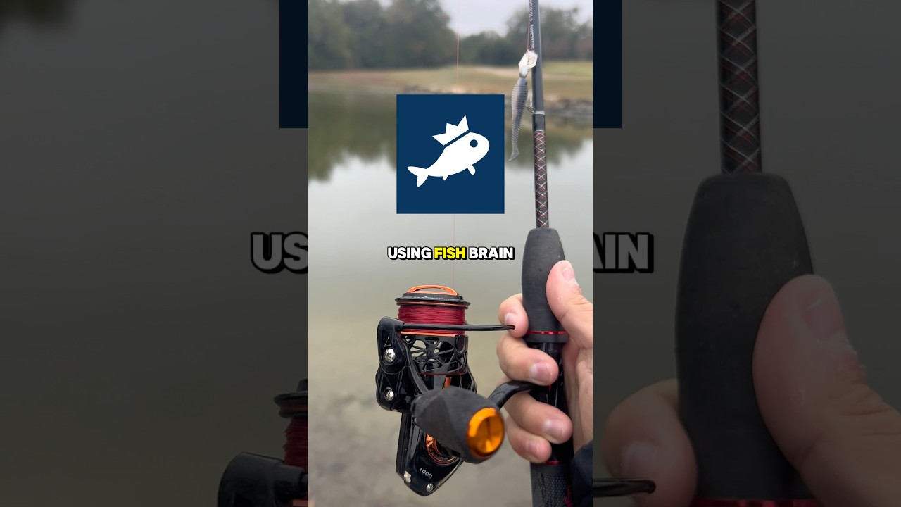 День 1 тестирования мест для рыбалки на FISHBRAIN🐟🧠