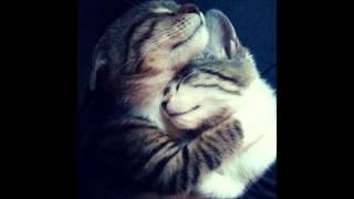 Ayşe Hatun Önal - Güm Güm Coskun Karadag Remix