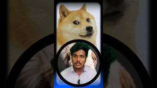 The untold story of cheems dog ( RIP )  | Tamil | ontalktamizha | #shortsfeed #interestingfacts