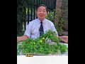 Khổ qua rừng khắc chế được tế bào Ung thư