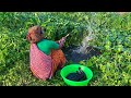 Unique Hook Fishing In Canal | lady hook fishing video | best fishing video #fishing_video #fishing