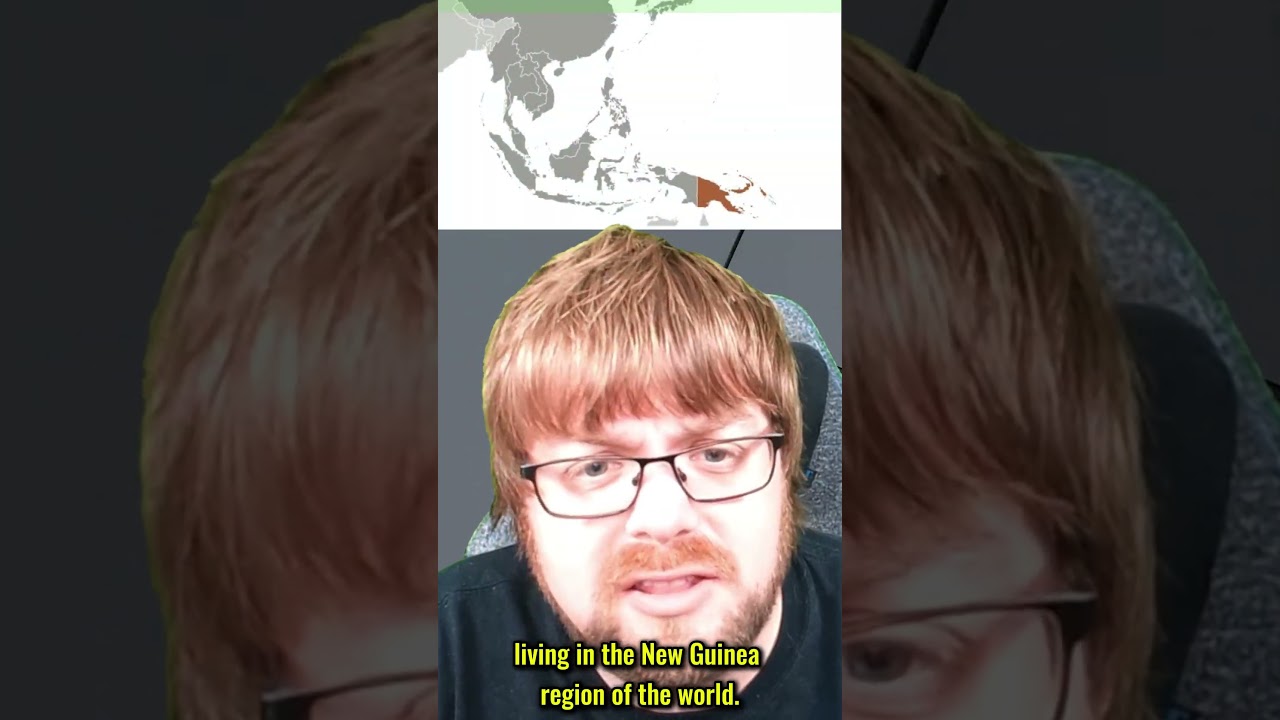 🦜 Beautiful glowing birds?