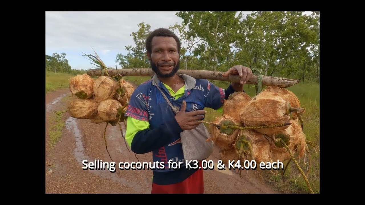 Papua New Guinea 🇵🇬 No Government Services