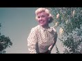 How Doris Day’s Movie Roles Challenged Stereotypes