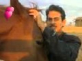 مشتااااااااااق لك والمسافه بعيده