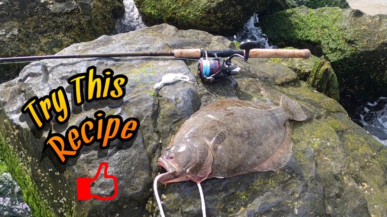 Great Day Fluke Fishing! Catch And Cook FLUKE!