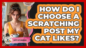 How Do I Choose A Scratching Post My Cat Likes? - Happy Cat Handbook