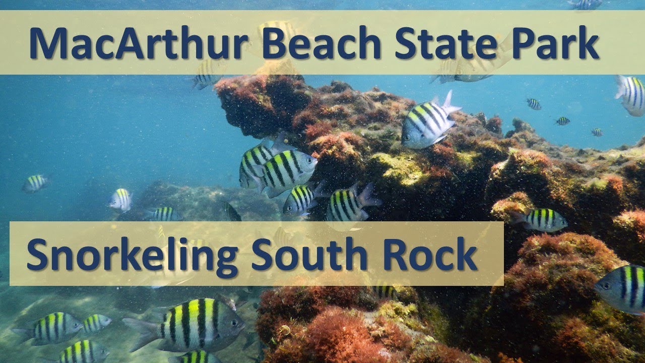 Snorkeling South Rock – MacArthur Beach State Park