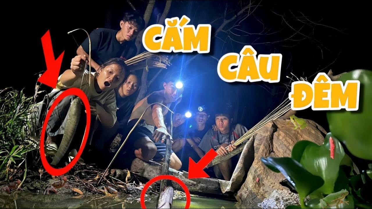 Anh Ba Phai | Thử Thách Cắm Câu Đêm - Một Đêm Bội Thu🐟