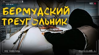 РАСКРЫТА ТАЙНА ПОСЛЕДНЕГО ИСЧЕЗНОВЕНИЯ САМОЛЕТА: Что происходит в Бермудском треугольнике |@geotopiya