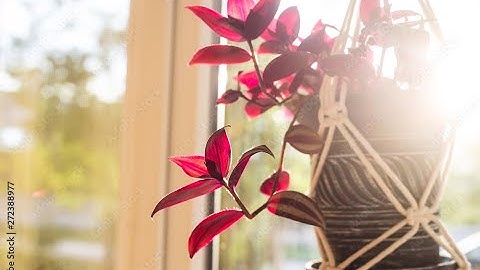 Part One - Macrame Tips & Tricks.