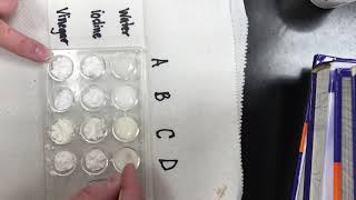 Mystery Powders Lab Activity