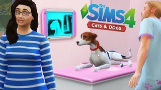 Disaster At The Vet! - StacyPlays The Sims Cats & Dogs (Ep.3)