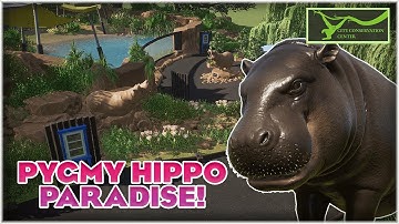 BEAUTIFUL Pygmy Hippo Habitat with Underwater Viewing! | City Conservation Center