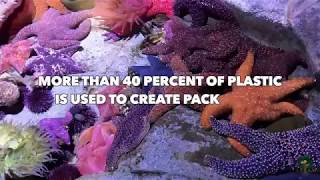 Plastic Ocean   Voice 4 Planet 2019 HS Video Challenge