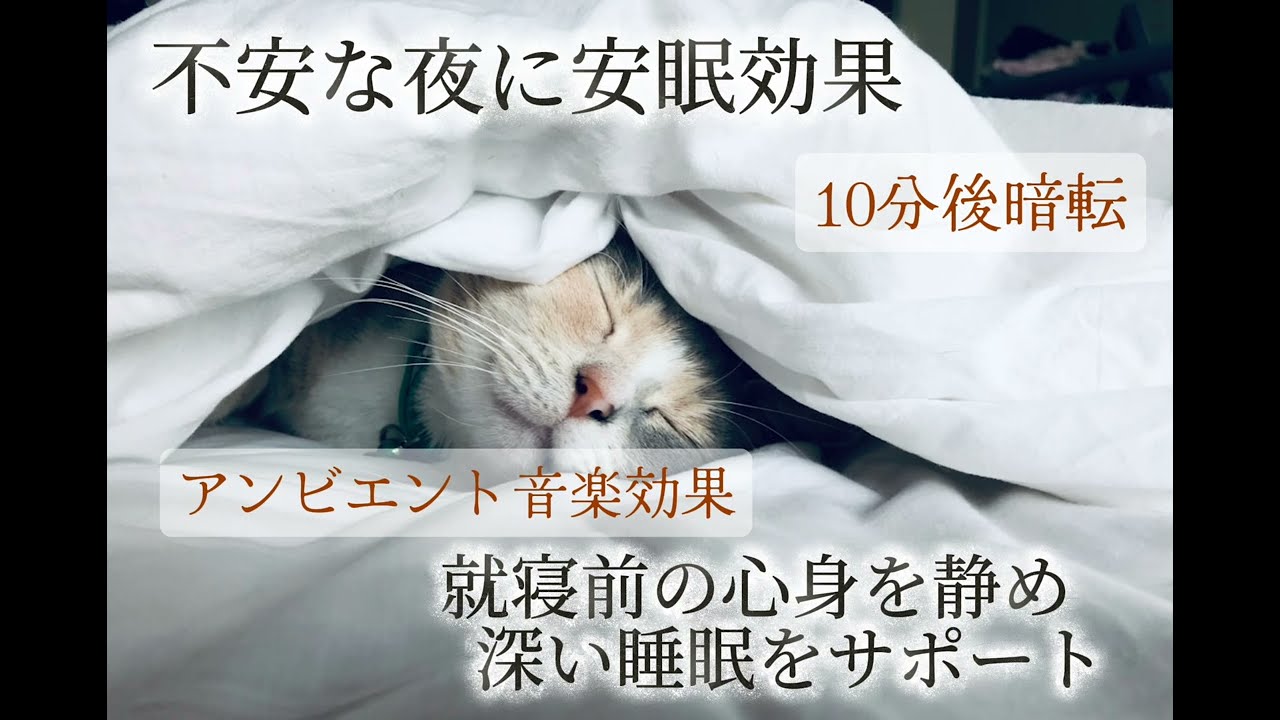 【安心して眠る】入眠BGM・深い睡眠をサポート　#アンビエント音楽 #自律神経 #癒し効果 #脳を休ませる