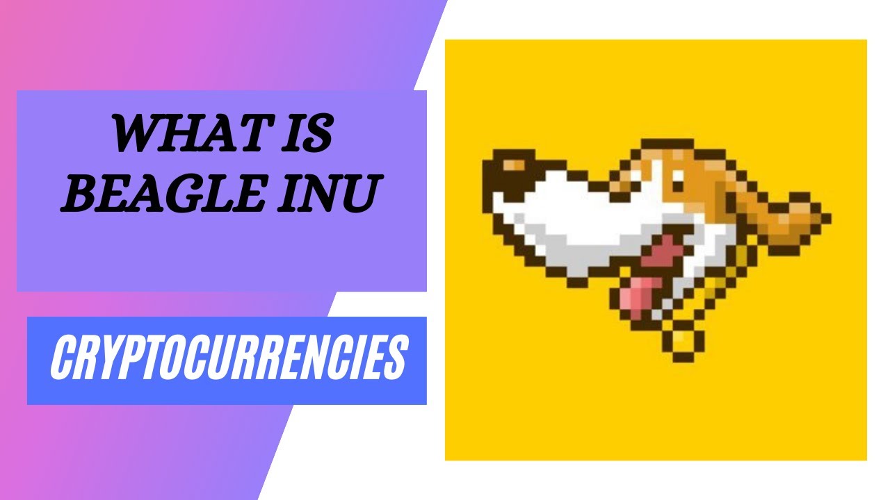 What is BEAGLE INU? SCAM or LEGIT ? check details in this video YouTube