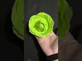 ✨Easy Tissue Paper Flower 🌸 | Simple Paper Flower Craft | #Shorts#diy#craft #art #tissuepaperflower
