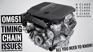 The *TRUTH* about Mercedes OM651 Timing chain issues! - Mercedes A Class, C Class, E Class, Vans