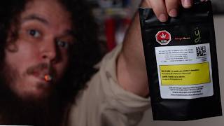 Bang for Your Buck? | The Terp Hunter Ep. 4 ft. Mango Cheese by Green Joy