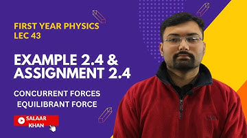 Example 2.4 and Assignment 2.4 | First year physics Chapter 2