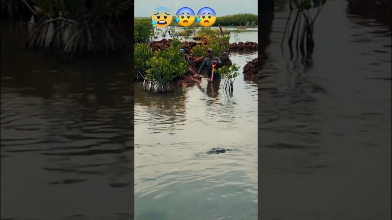 TAHAN nafasrandom, memes ramdom, memes random, club random, totally 