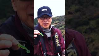 可変型テールアクションででかメバルを狙え！#SMITH #エビンテール #辻本ナツ雄 #でかメバル