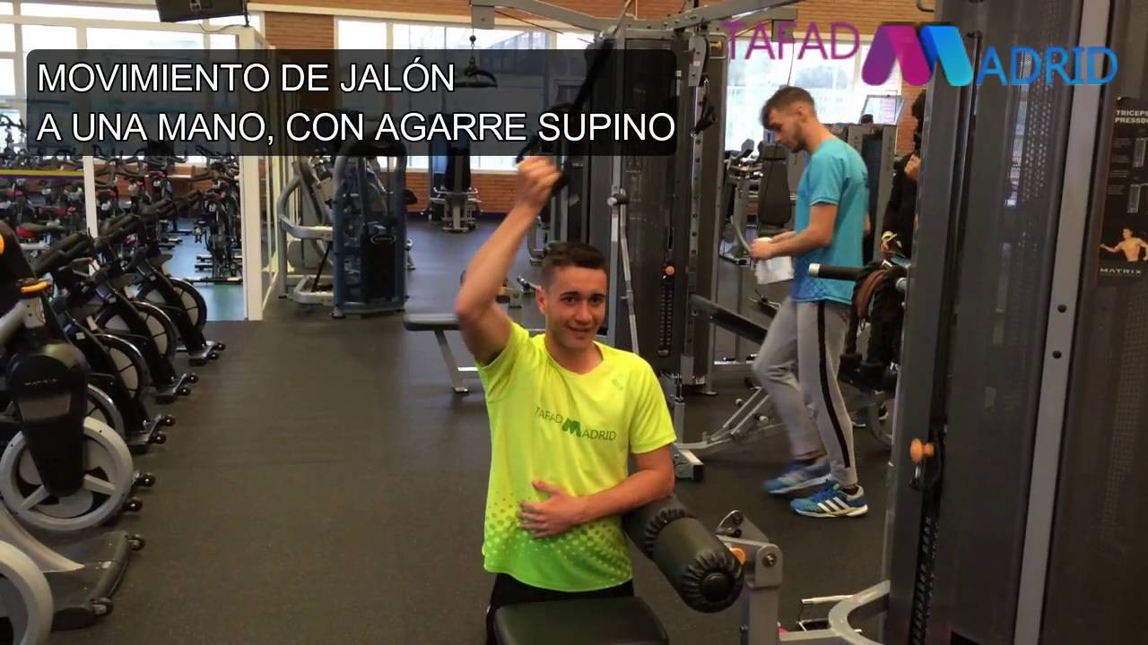 Musculación - Espalda: Jalón polea alta agarre supino a una mano camera iphone 8 plus apk