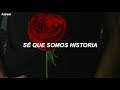 OneRepublic - Somebody To Love (Traducida al Español)