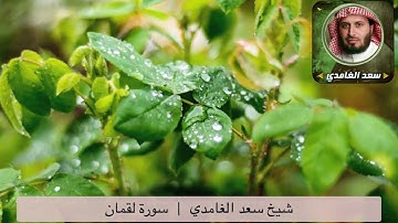 Surah Luqman | by Sheikh Saad Al Ghamdi   سورة لقمان | شيخ سعد الغامدي