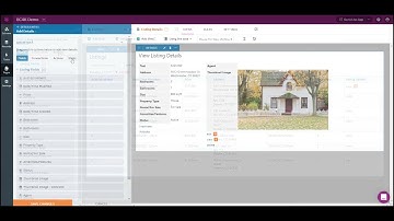 Details Views in Knack database applications