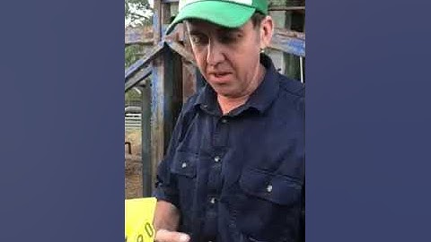 Tissue Sampling for better animal traceability.