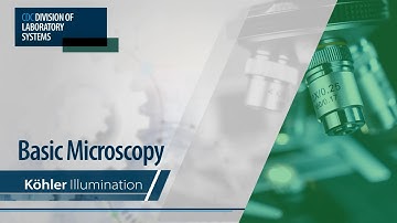 Basic Microscopy – Köhler Illumination