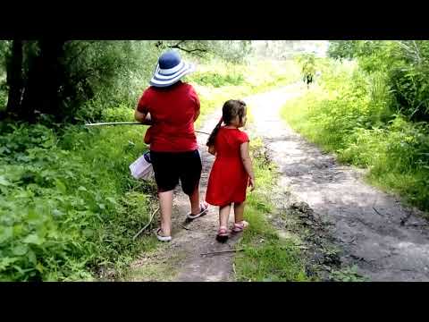 Dorina Neculce - Cântecul Păsării Spin