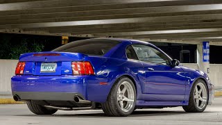 Terminator Cobra Story 10 Years of Ownership Stock to 900RWHP