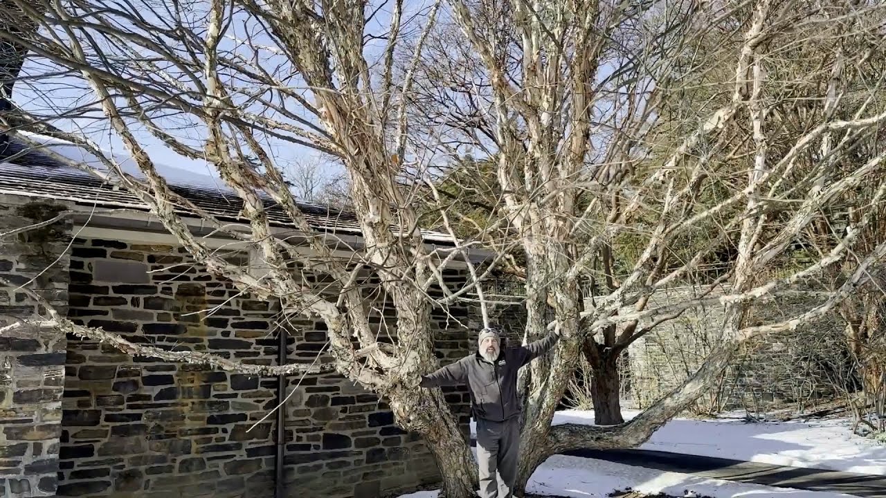 Экскурсия в обеденное время: В Зимнем саду